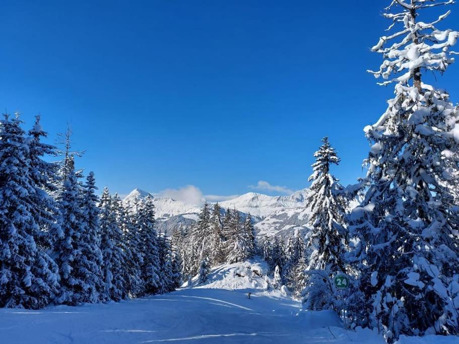 Appartamento Di Charme Praz-sur-Arly Bagian luar foto